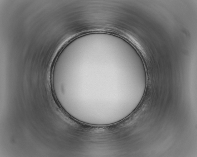 X0000112921283200908241023