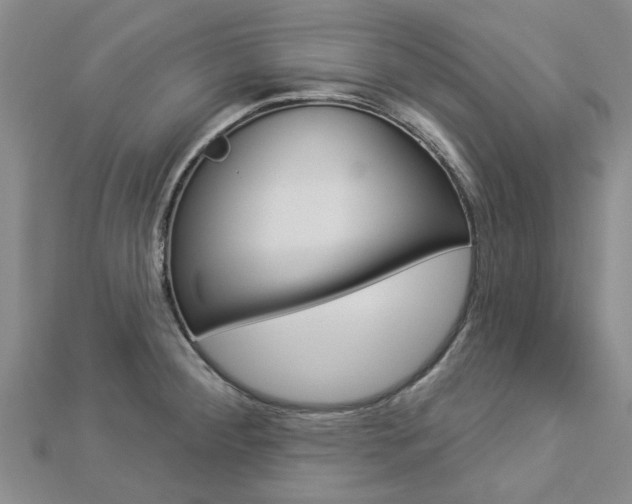 X0000112921284200908241023