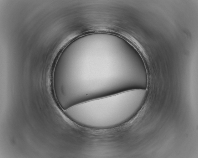 X0000112921285200908241023