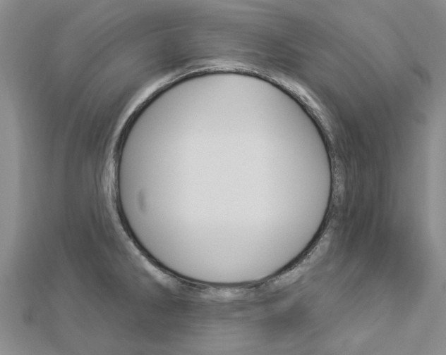 X0000112921286200908241023