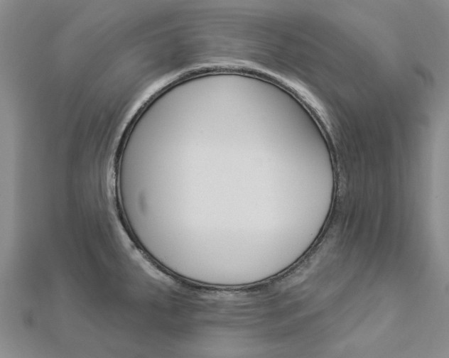 X0000112921287200908241023