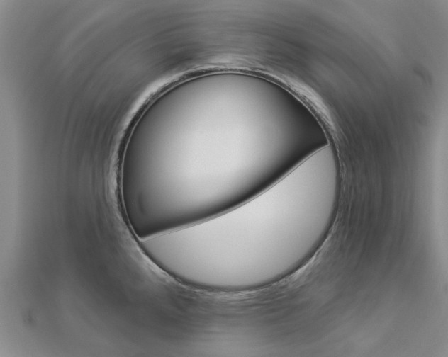 X0000112921288200908241023