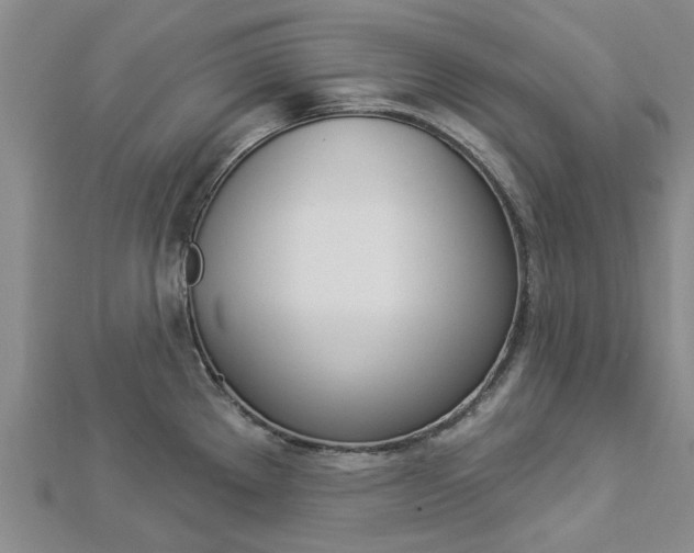 X0000112921289200908241023