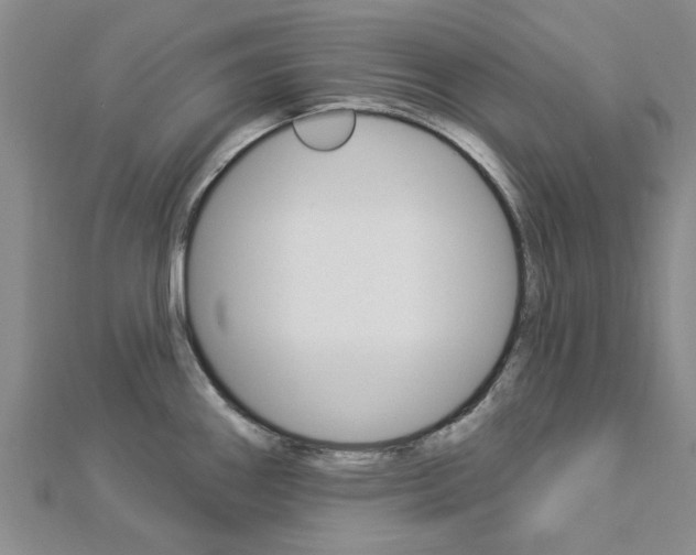 X0000112921290200908241023