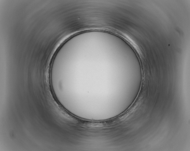 X0000112921291200908241023