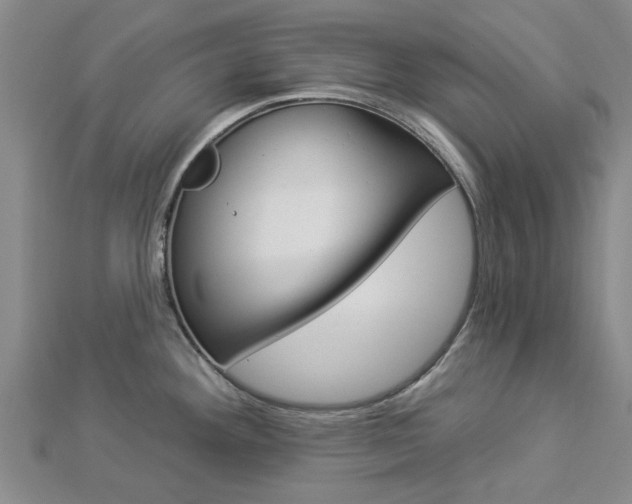 X0000112921292200908241023