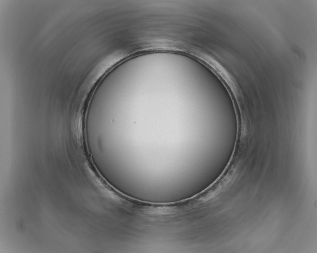 X0000112921293200908241023