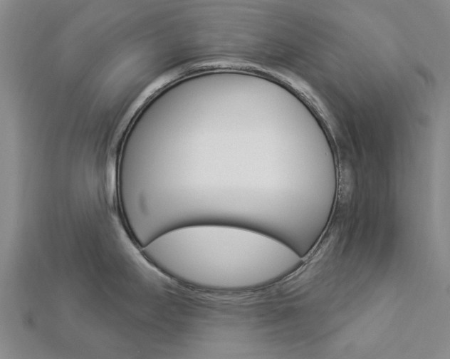 X0000112921295200908241023