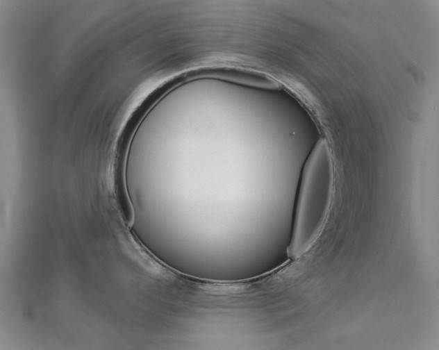 X0000112921296200908241023