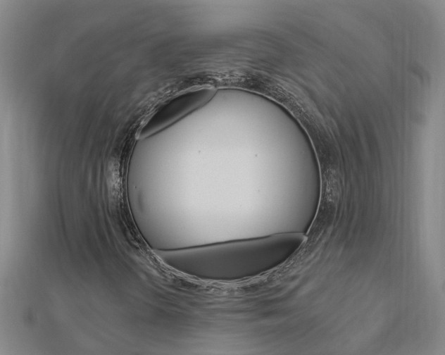 X0000112921298200908241022