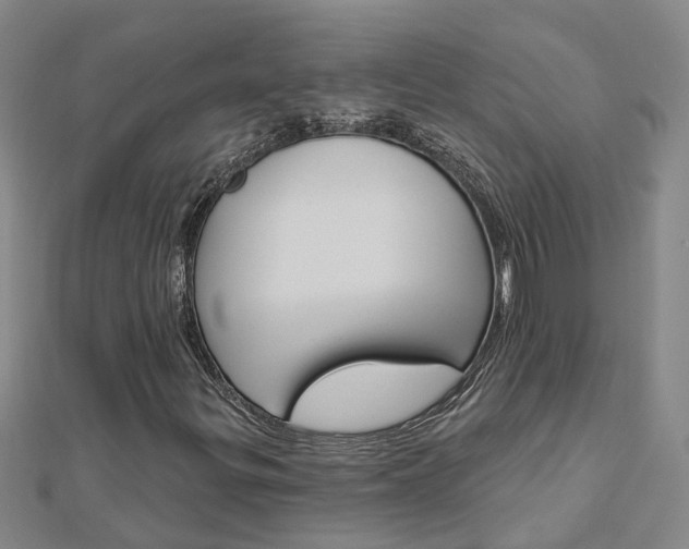 X0000112921299200908241022