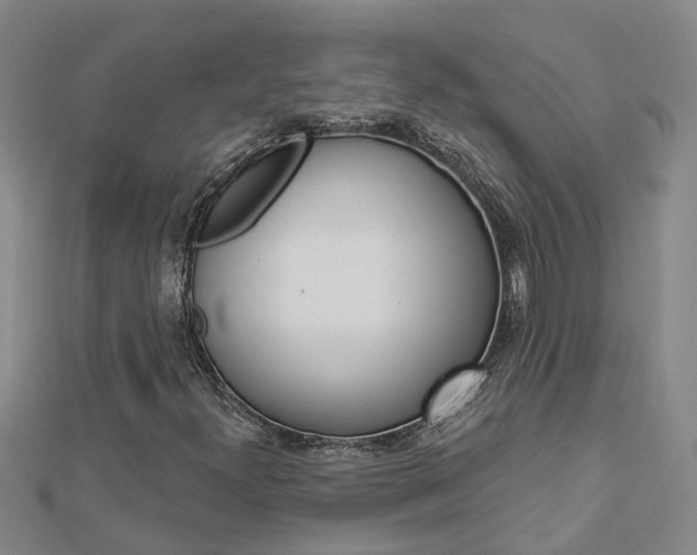 X0000112921300200908241022