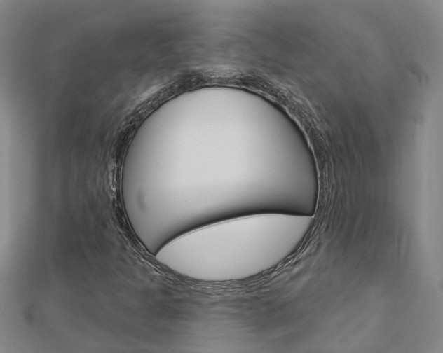 X0000112921301200908241022