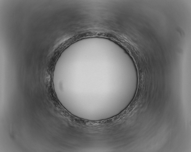 X0000112921302200908241022