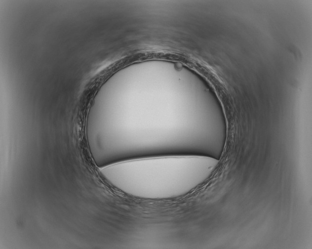 X0000112921303200908241022