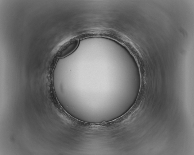 X0000112921304200908241022