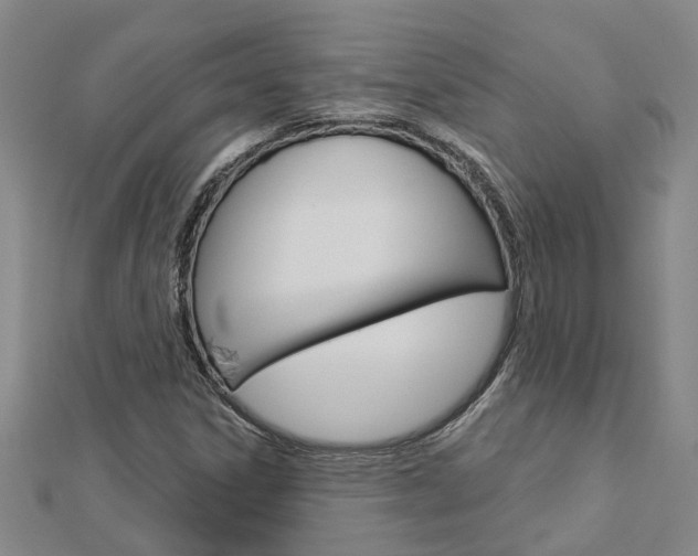 X0000112921306200908241022