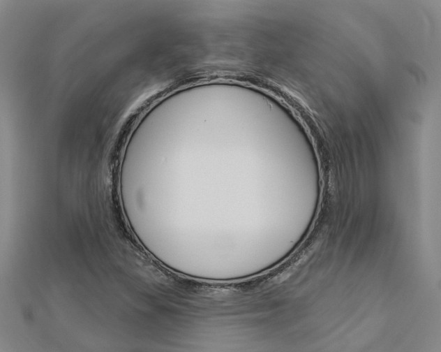 X0000112921309200908241022