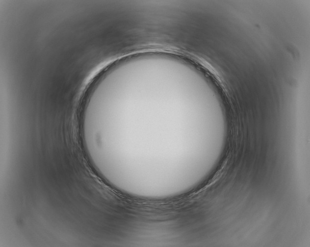 X0000112921310200908241022