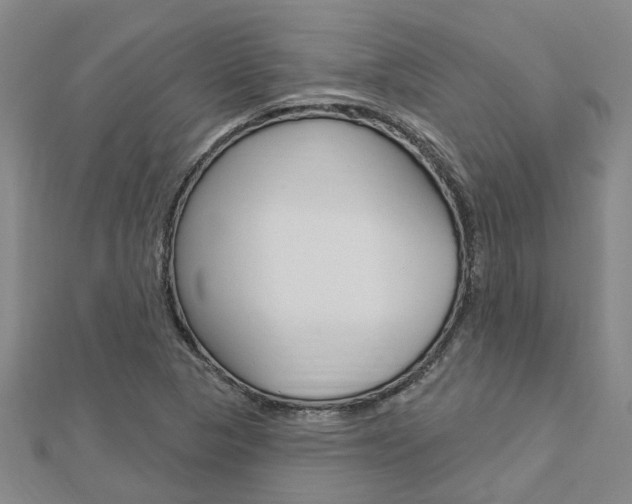 X0000112921313200908241022