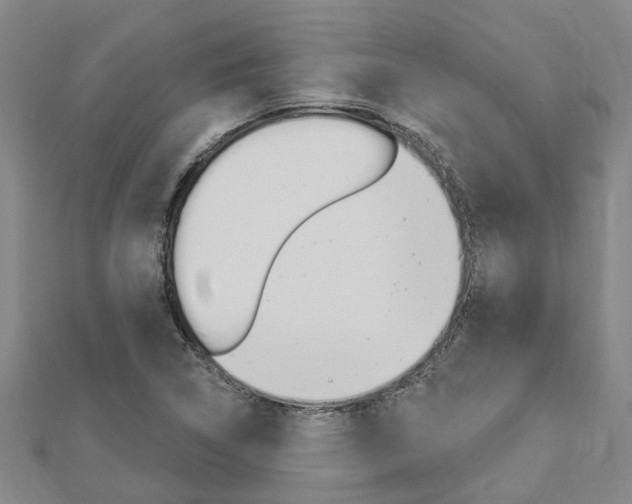 X0000112921314200908241022