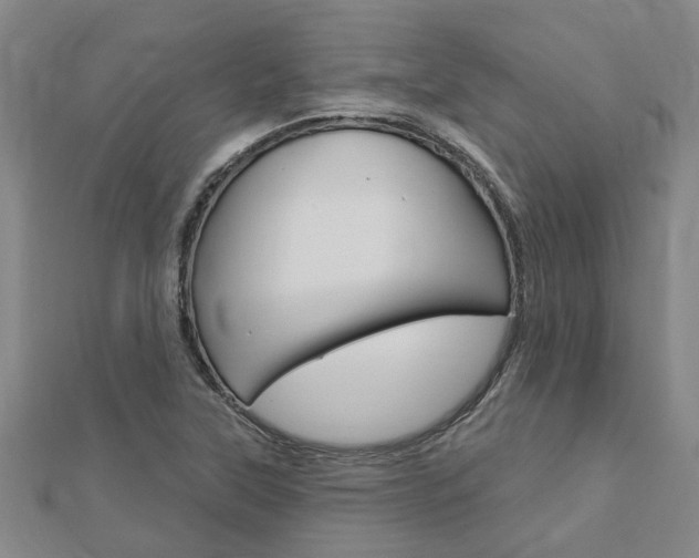 X0000112921315200908241022