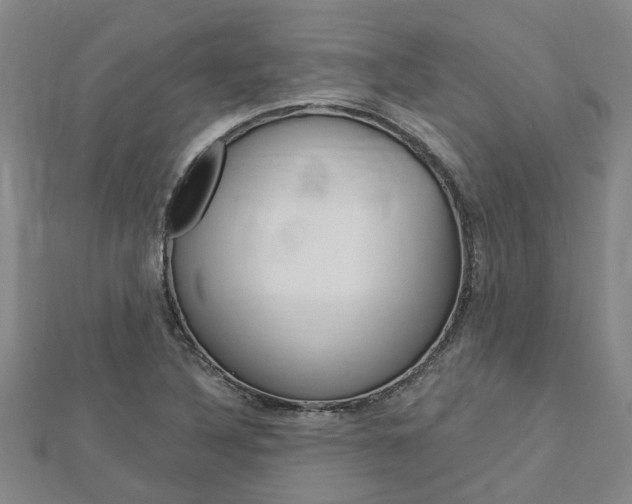 X0000112921316200908241022