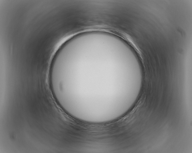 X0000112921320200908241022