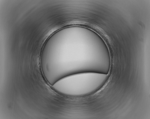 X0000112921321200908241022