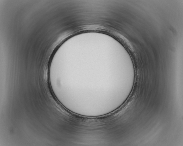 X0000112921322200908241022