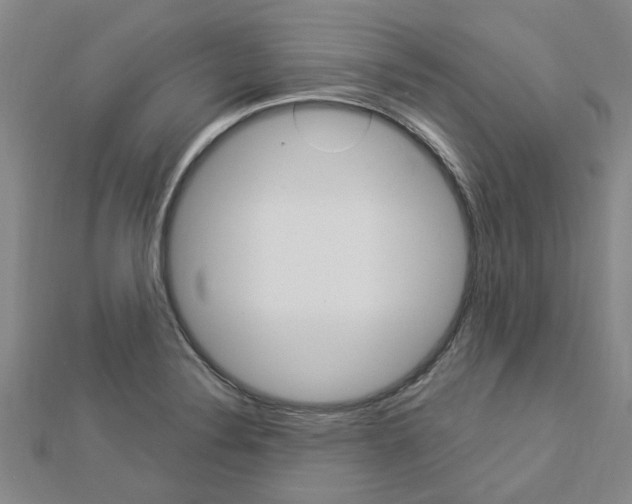 X0000112921324200908241022