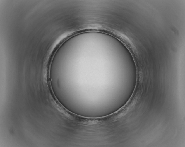 X0000112921326200908241022