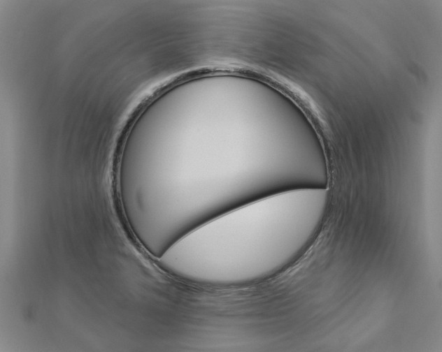 X0000112921327200908241022
