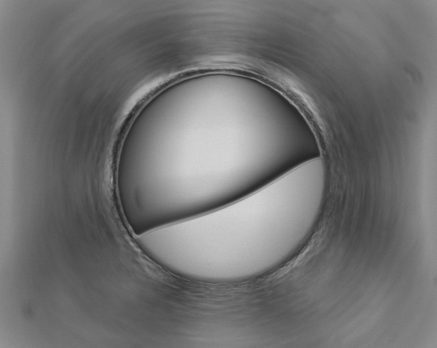 X0000112921328200908241022