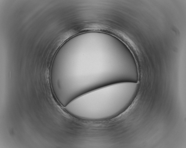 X0000112921329200908241022