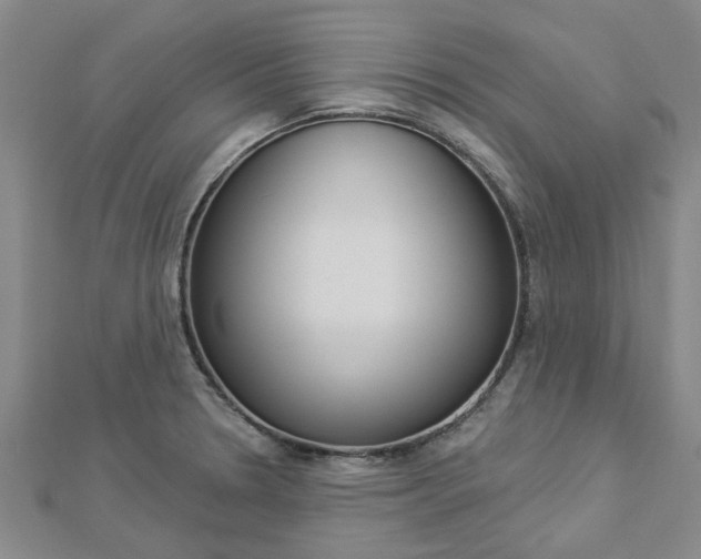 X0000112921330200908241022