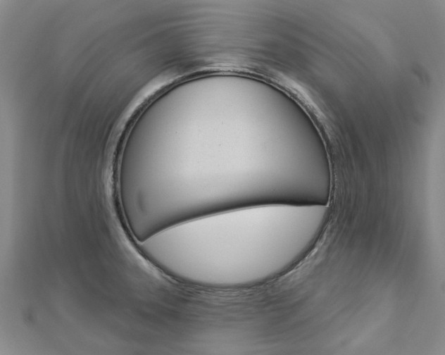 X0000112921331200908241022