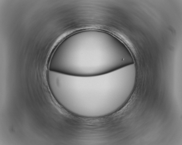 X0000112921332200908241022