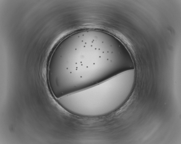 X0000112921334200908241023
