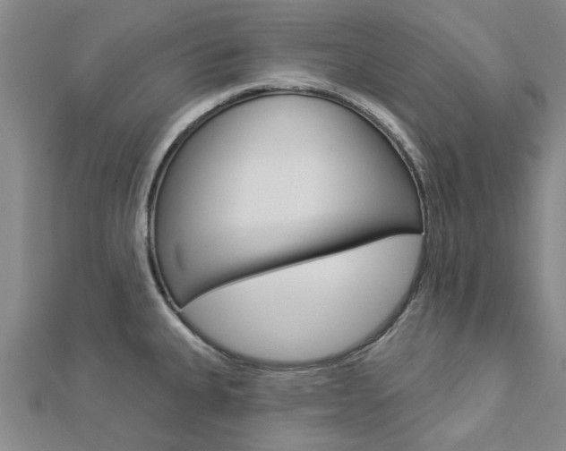 X0000112921335200908241023