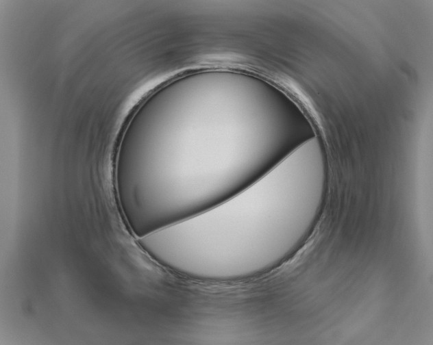 X0000112921336200908241023