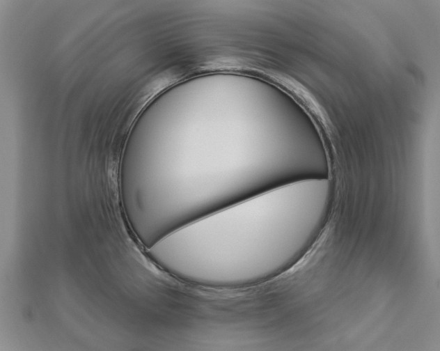 X0000112921337200908241023