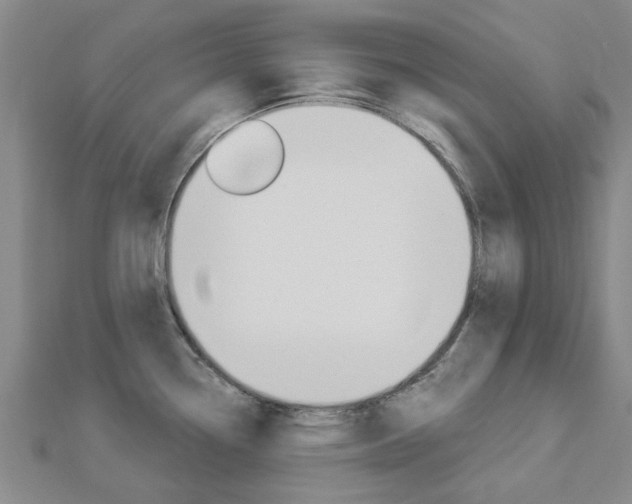 X0000112921338200908241023