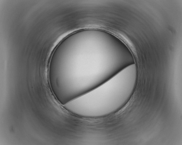 X0000112921340200908241023