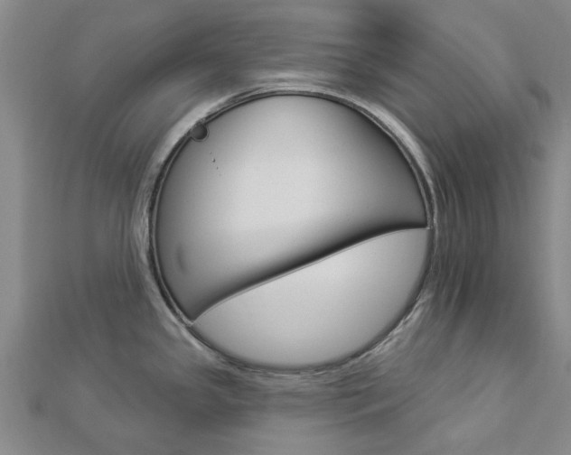 X0000112921341200908241023