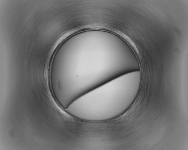 X0000112921343200908241023