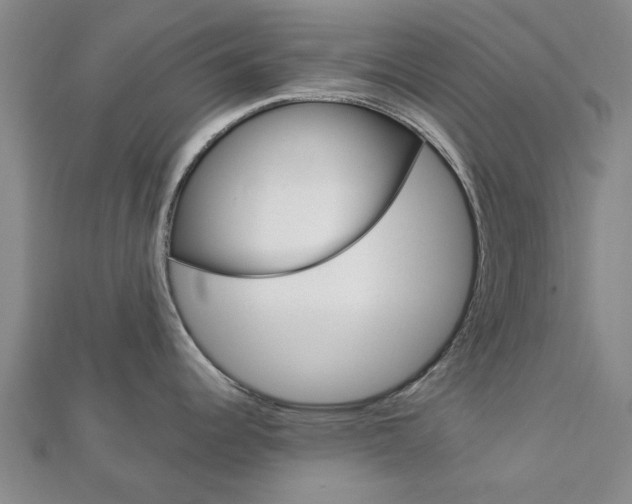 X0000112921344200908241023