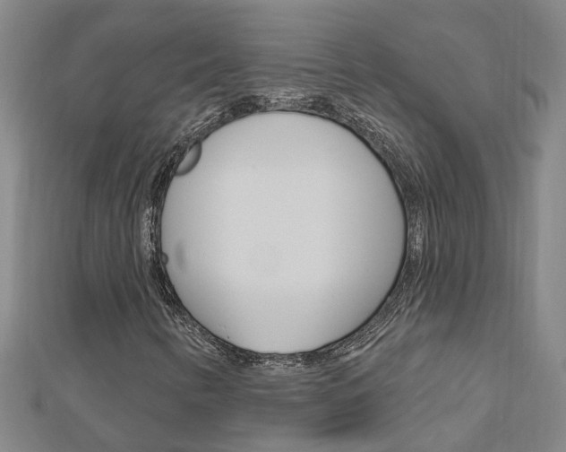 X0000112921346200908241022