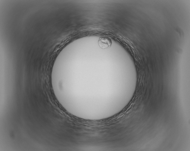 X0000112921349200908241022