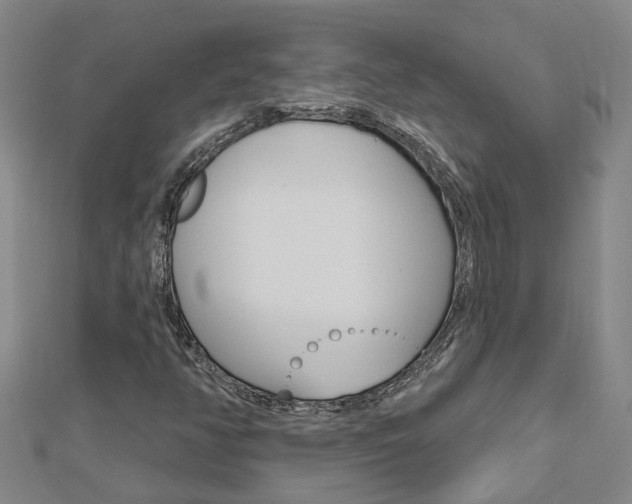 X0000112921350200908241022